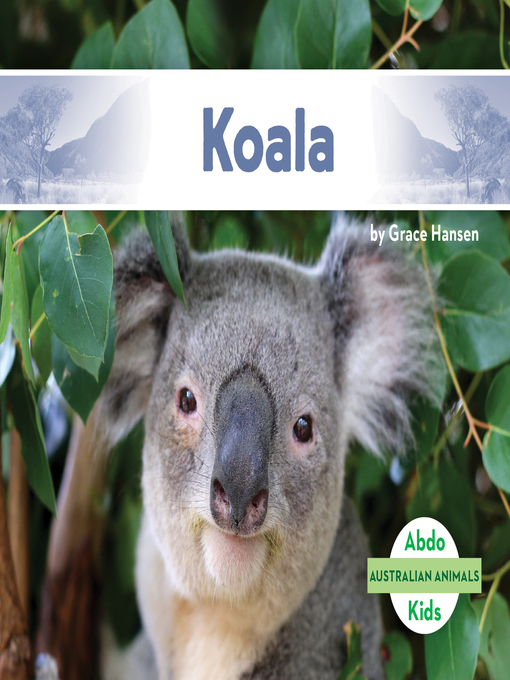Title details for Koala by Grace Hansen - Wait list